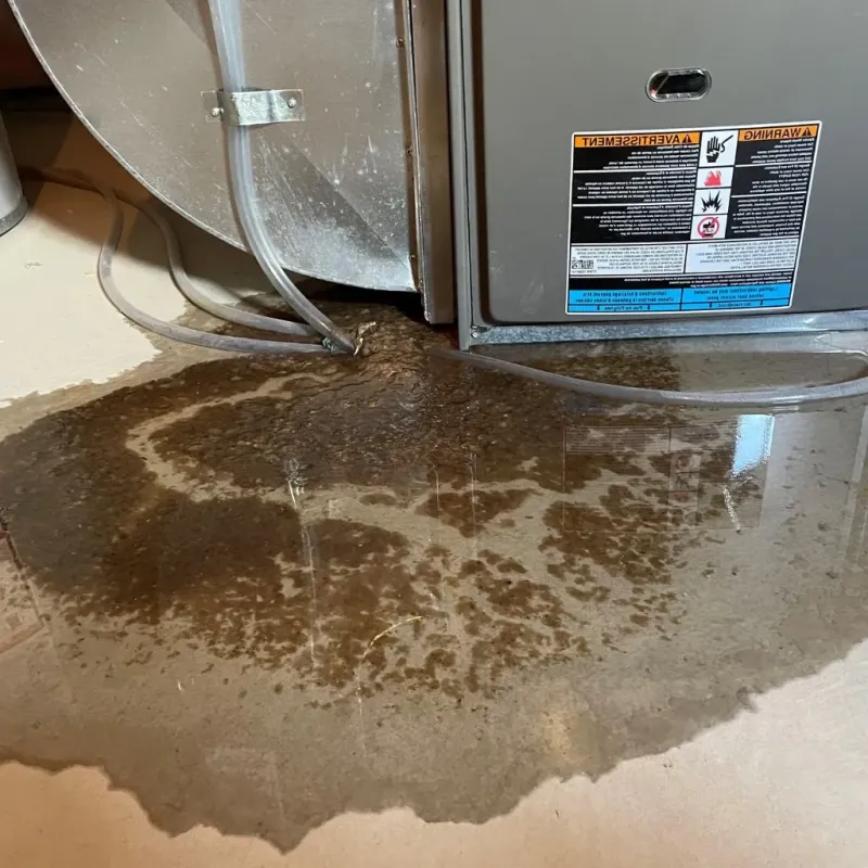 Pipe Burst and Leak Restoration in Little Rock Air Force Base, AR