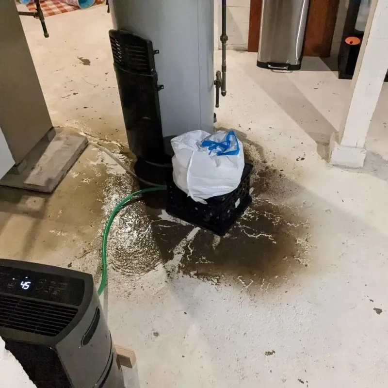 Sewage Backup Cleanup Service in Little Rock Air Force Base, AR